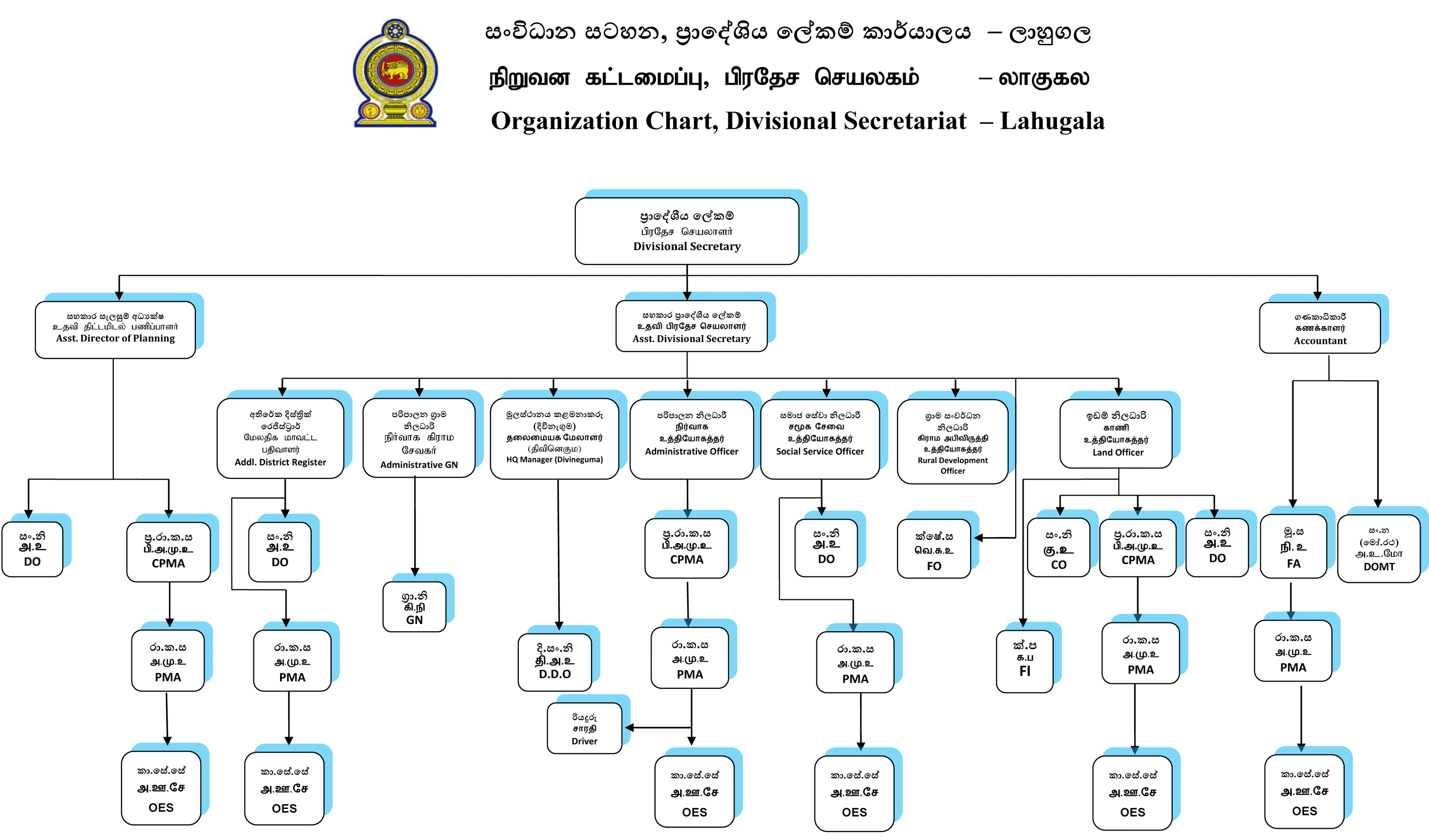 Organaization Chart